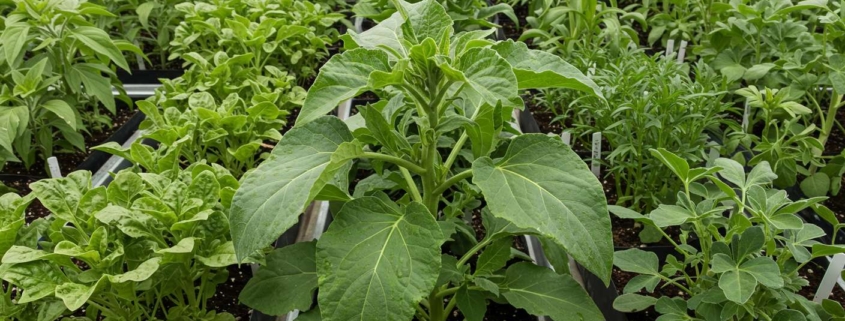 Влияние ценообразования на заводское производство деталей